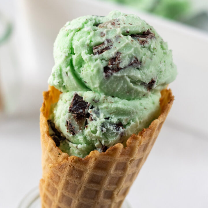 Mint Chocolate Chip
